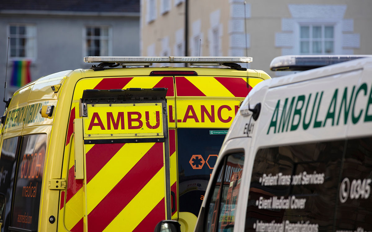 Trees on fire during the 2019-20 Australian summer bushfire crisis. Photo from New Matilda via Flickr (CC BY 2.0 DEED).