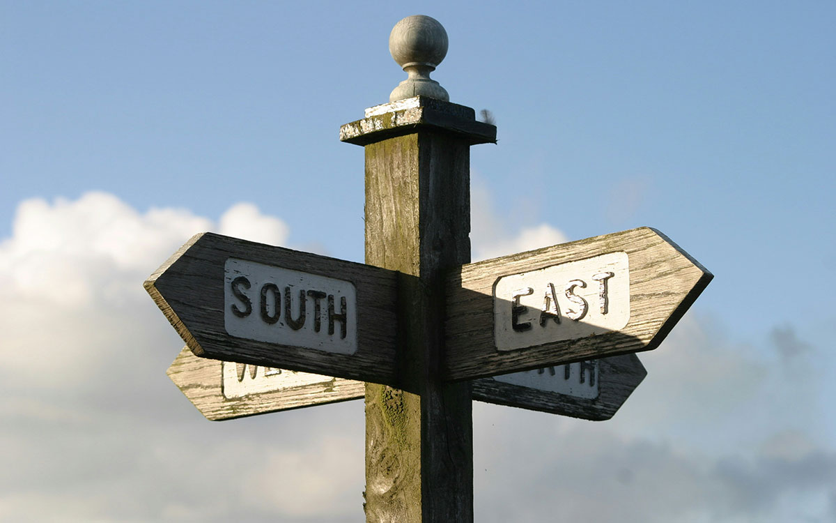 Trees on fire during the 2019-20 Australian summer bushfire crisis. Photo from New Matilda via Flickr (CC BY 2.0 DEED).